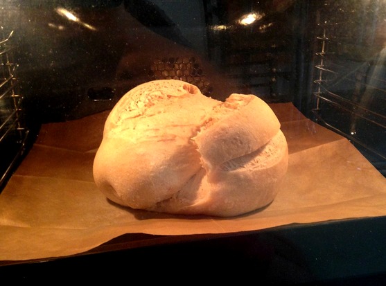 Italian homemade bread